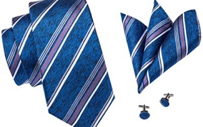 Barry.Wang Ties Sets Wholesale Woven Silk Necktie