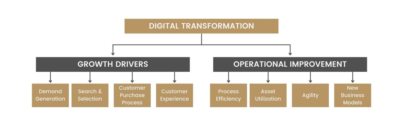 Digital Transformation and Innovation