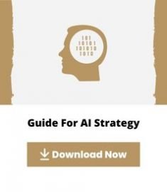 GUIDES CARDS - AI Strategy - Bio