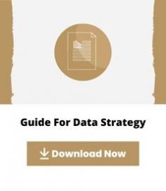 GUIDES CARDS - Data Strategy - Bio