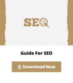 GUIDES CARDS - SEO - Bio